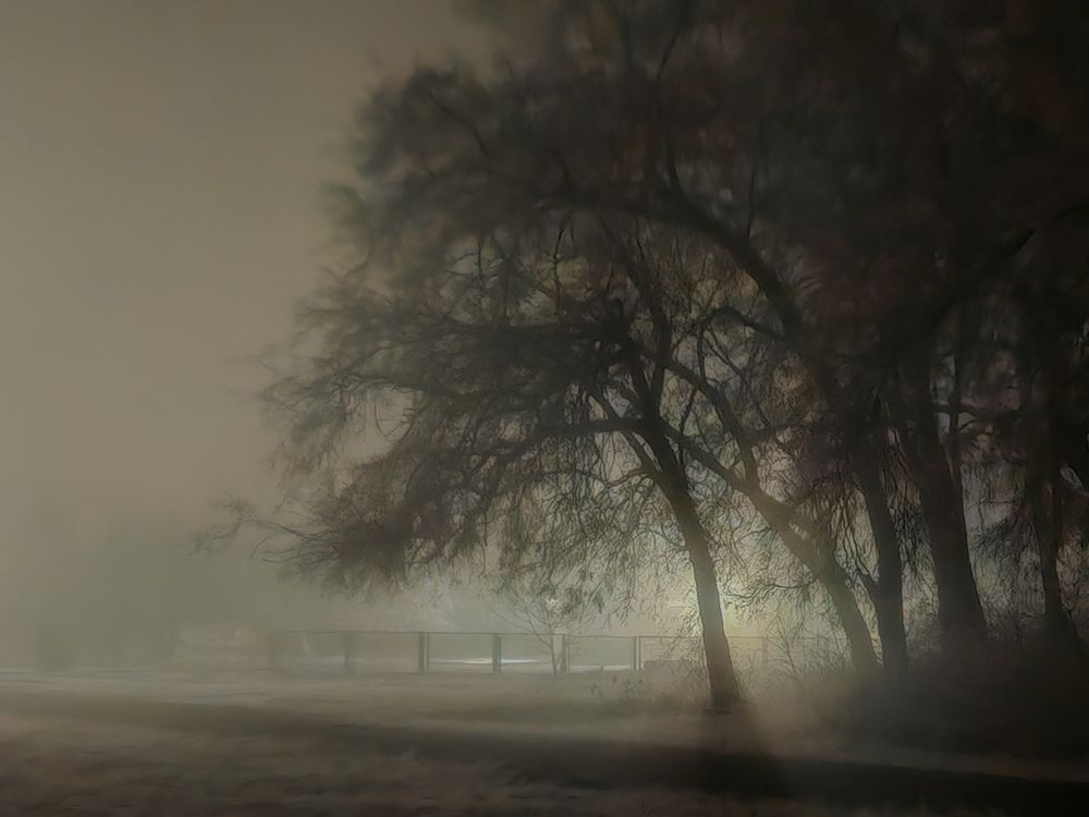 Фотография автора OXANA MARSOVA