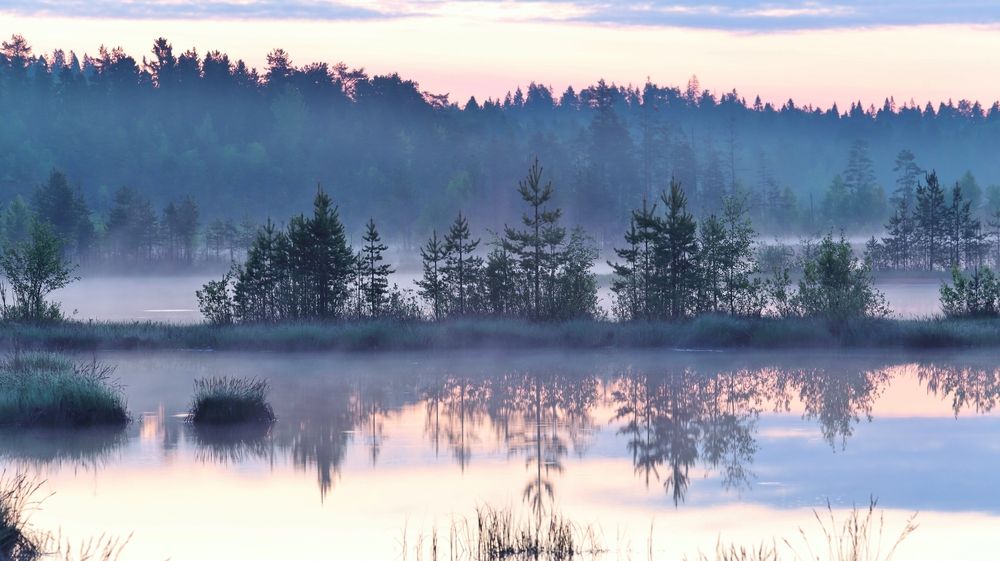 Photograph by Николай Раппу