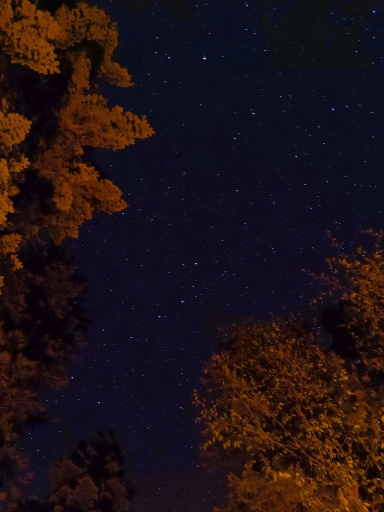 Фотография автора OXANA MARSOVA