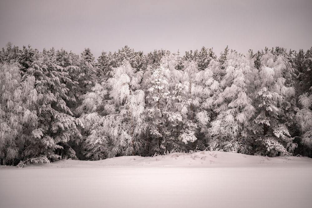 Photograph by ARTEM KORZHUKOV