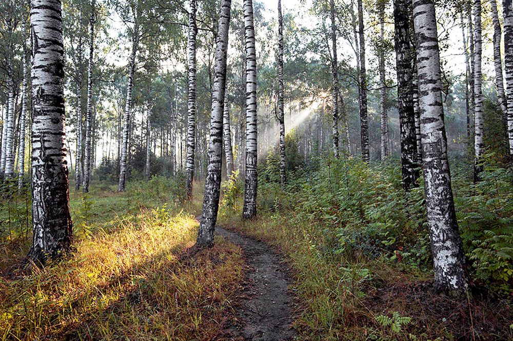 Photograph by Смирнов Алексей