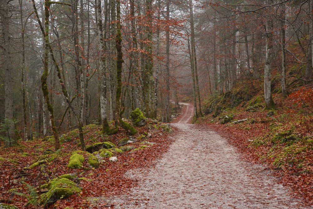 Дорога на ледник