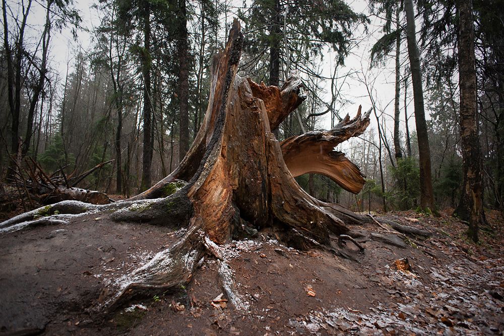 Photograph by Смирнов Алексей