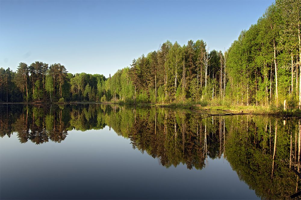 Photograph by Смирнов Алексей