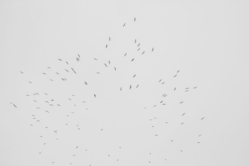 Photograph by Гаранина Ирина