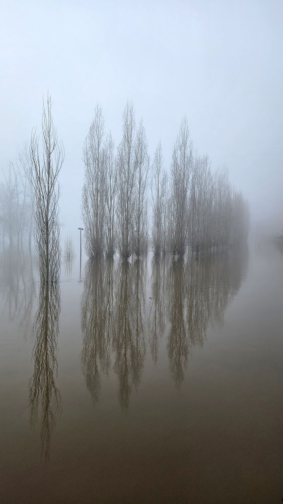 Photograph by Наталья Анисимова