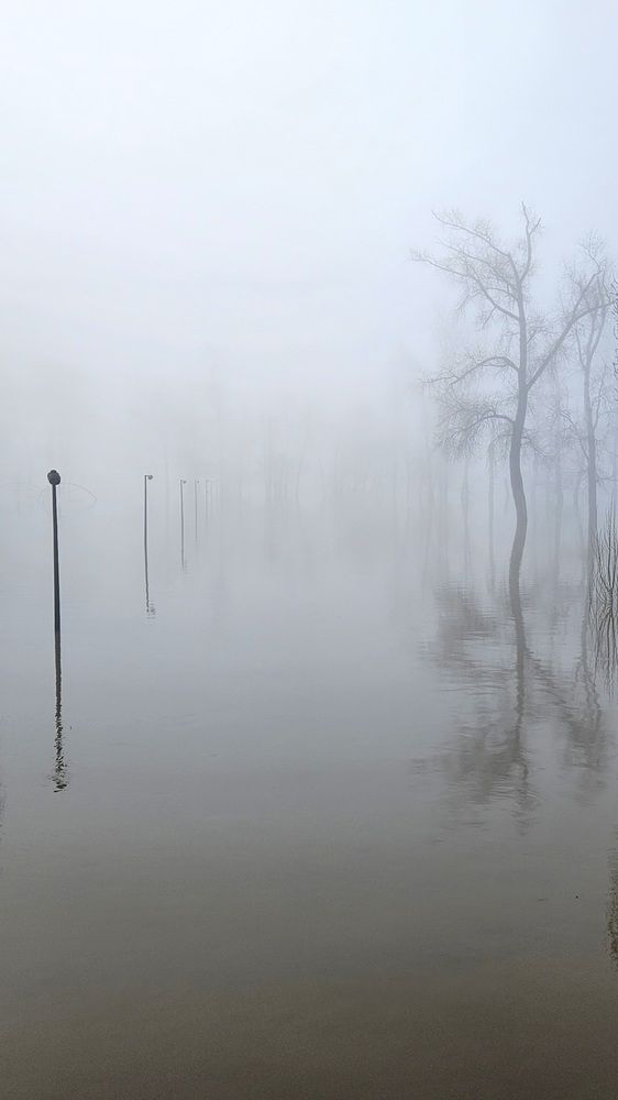 Photograph by Наталья Анисимова