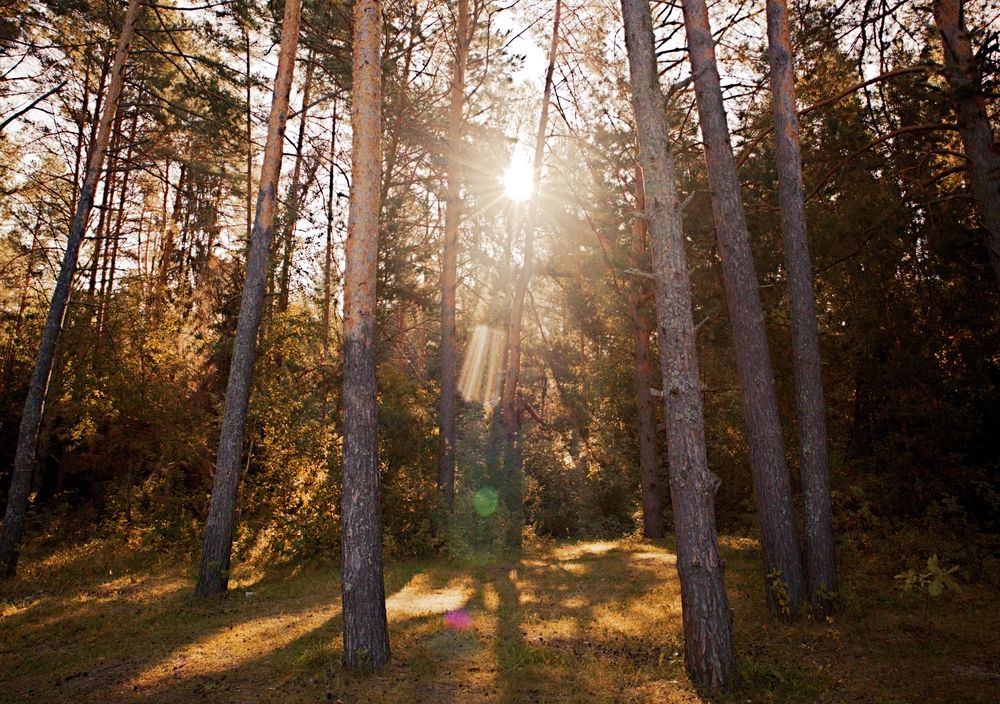 Photograph by Николай Круглов