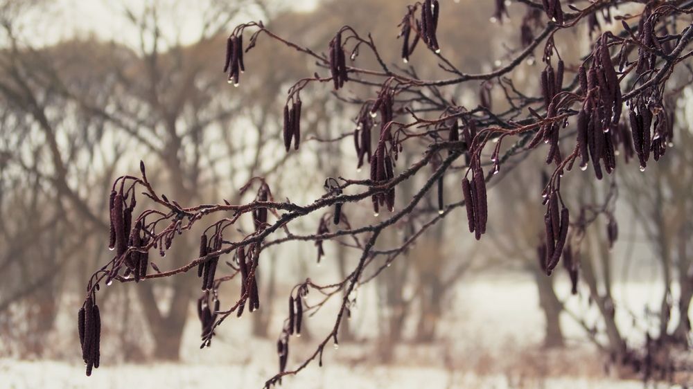 Фотография автора Стоялов Александр