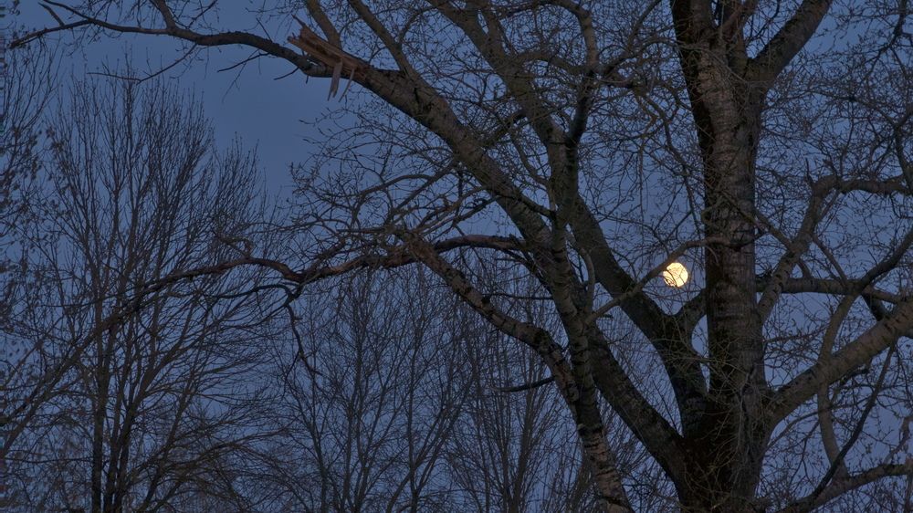 Фотография автора Стоялов Александр