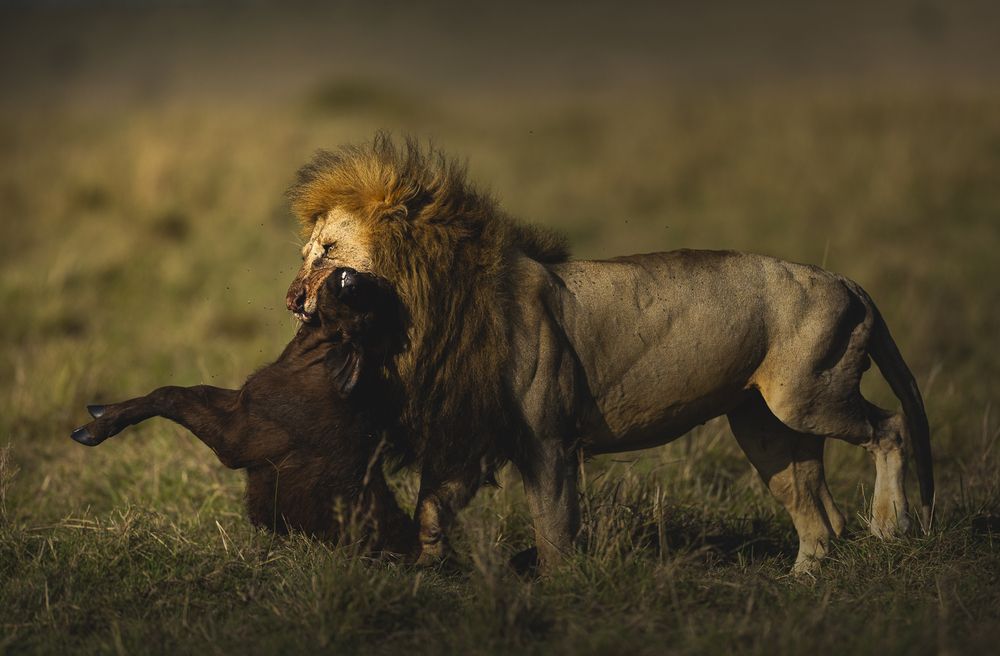 Photograph by Pothanis Sudhir