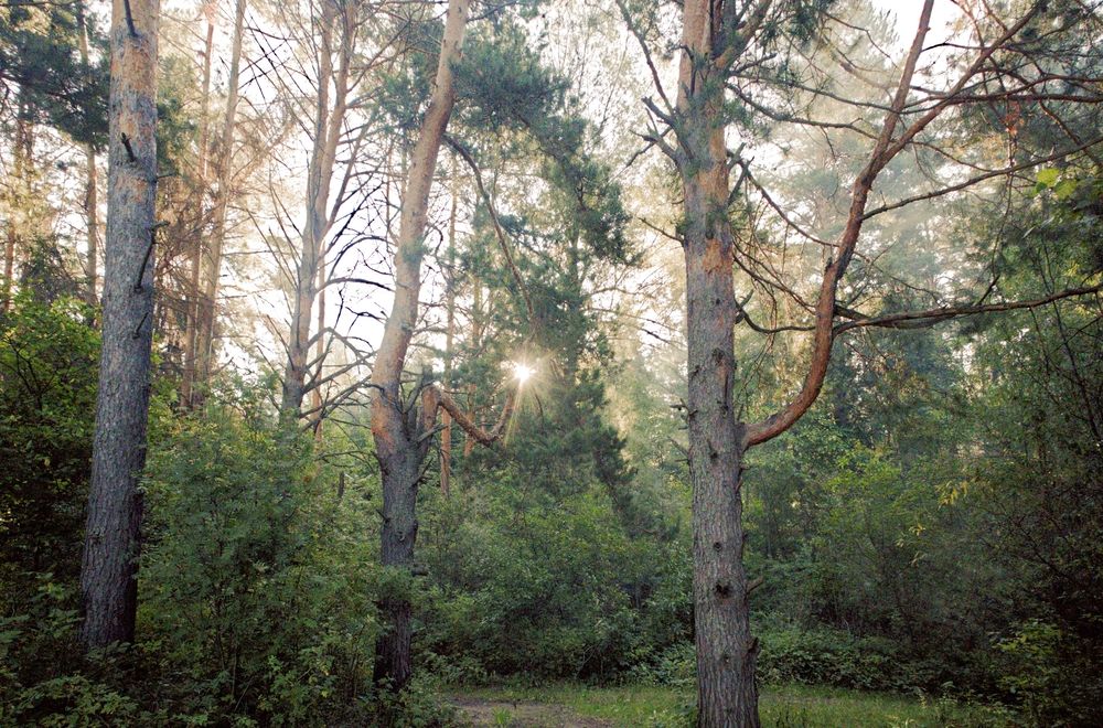 Photograph by Николай Круглов