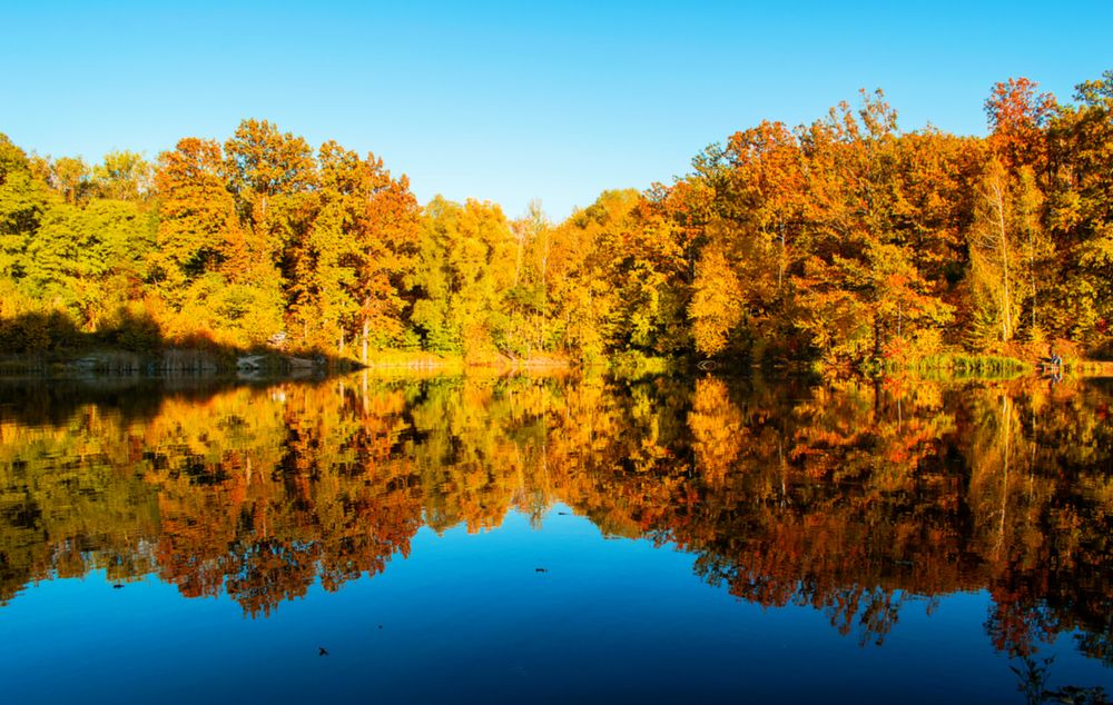 Photograph by Светлана Мельник