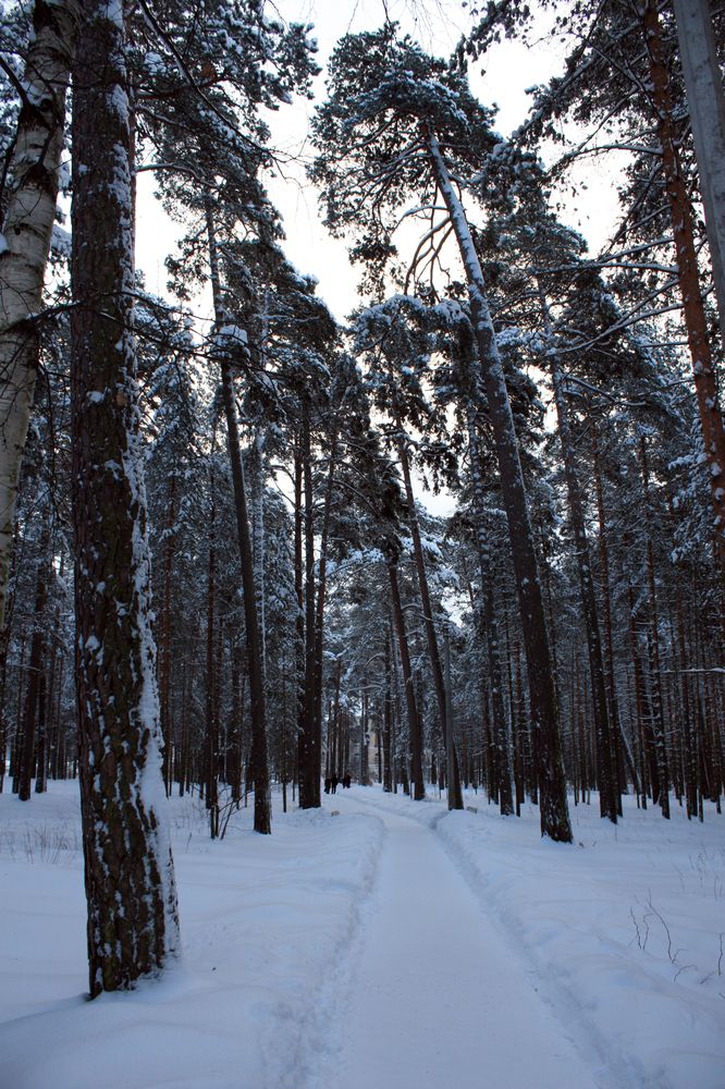 Photograph by Татьяна