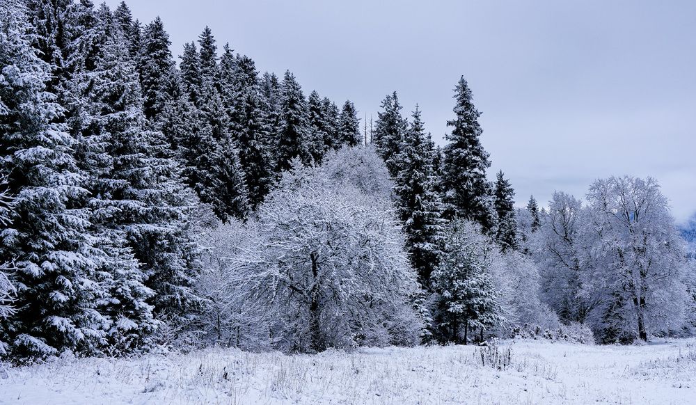 Photograph by Дмитрий Куркулин