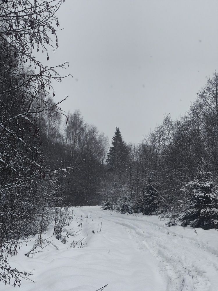 Свежесть