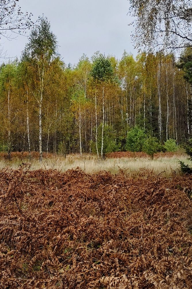 Photograph by Юлия Кулиева