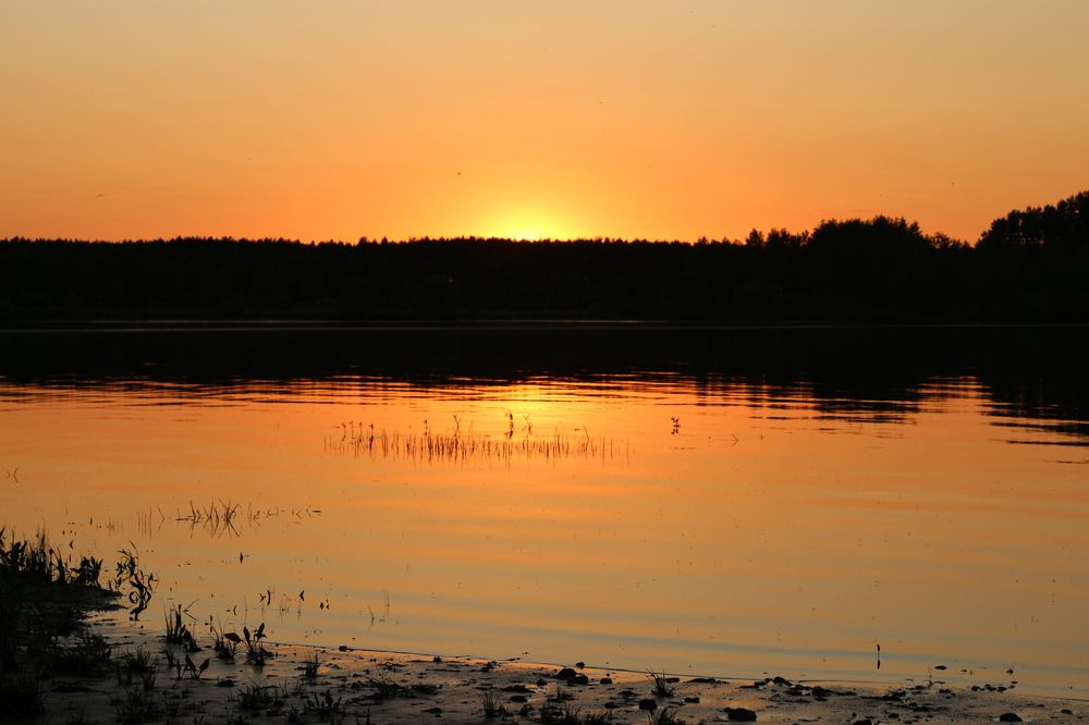 Photograph by Александра