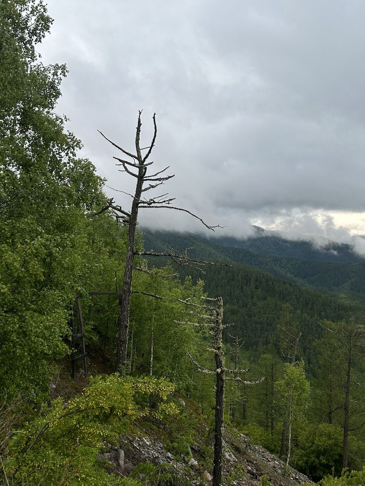 Фотография автора Наталья Тян