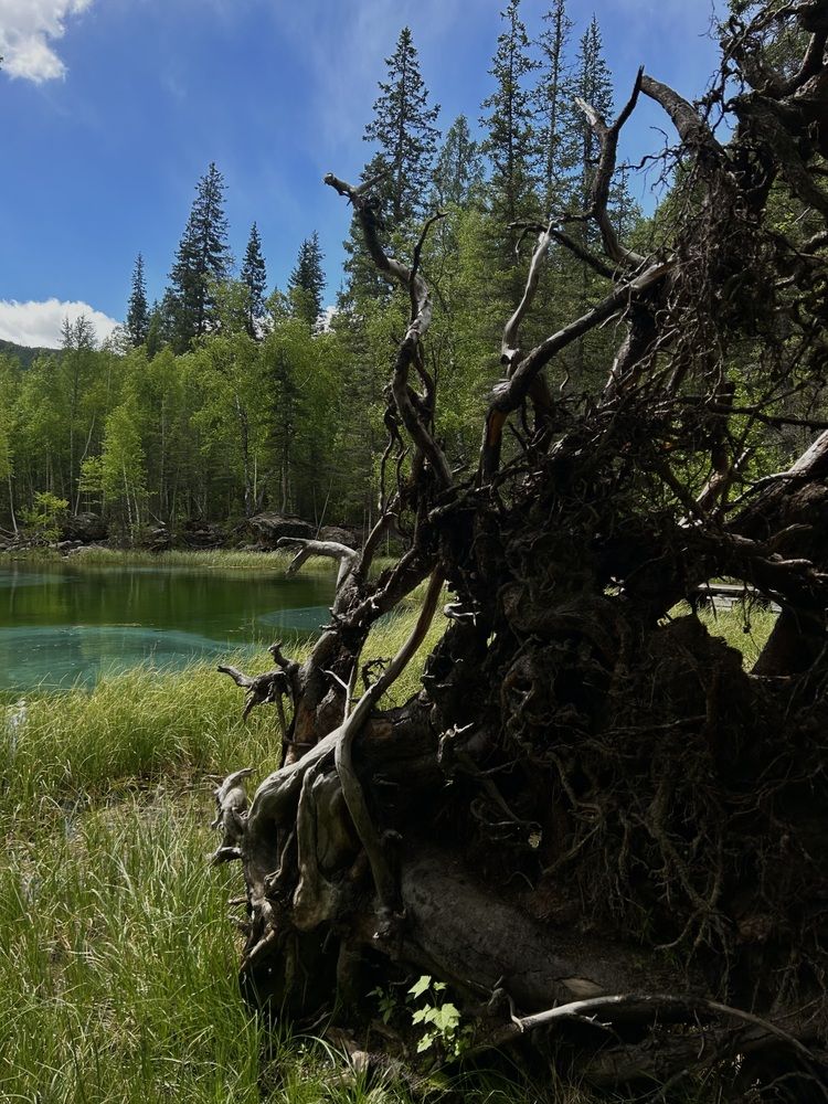 Фотография автора Наталья Тян