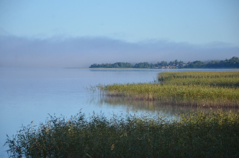 Photograph by Юлия Ястребова