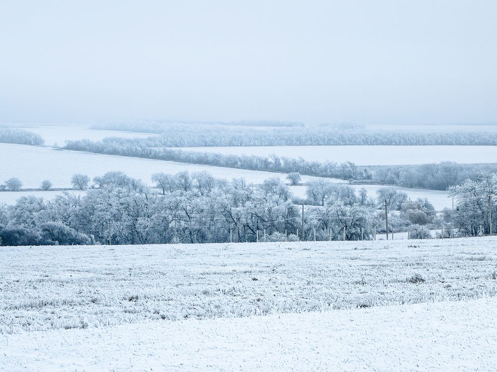 Photograph by Igor M.