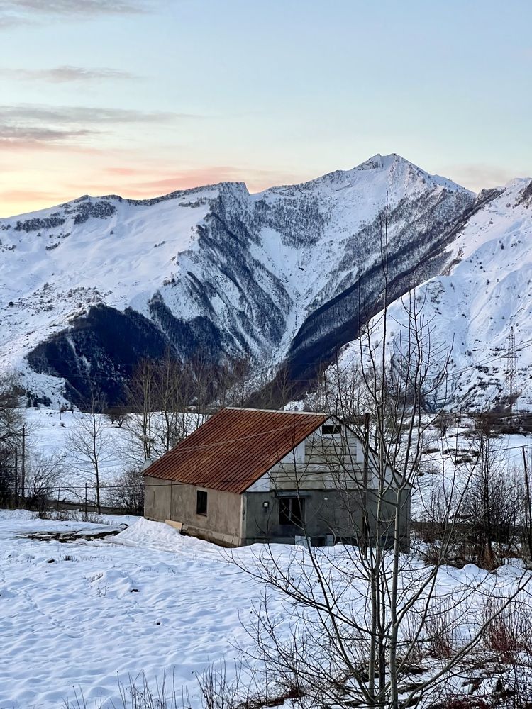 Photograph by Bhupendra Bagla