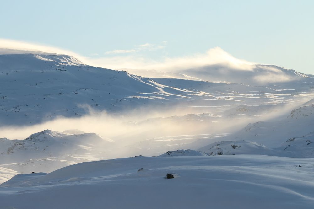 Photograph by Inese Firsova