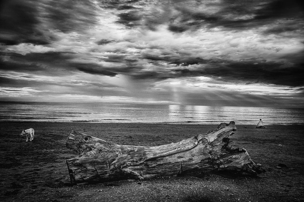 Photograph by Владимир Лосман