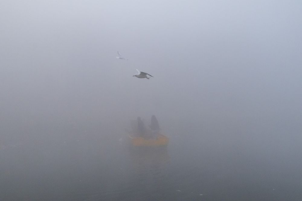 Photograph by Bhupendra Bagla