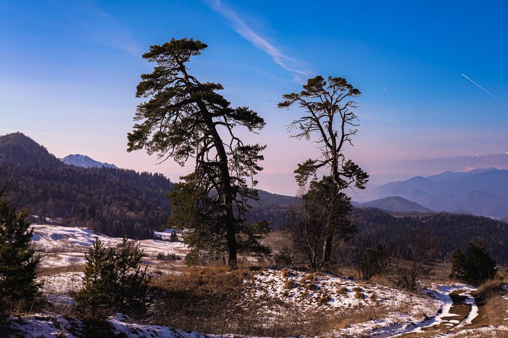 Photograph by Дмитрий Куркулин