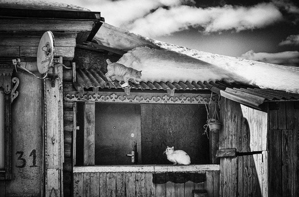 Photograph by Владимир Лосман