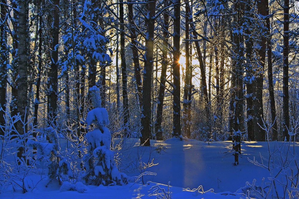 Photograph by Николай Шаповалов