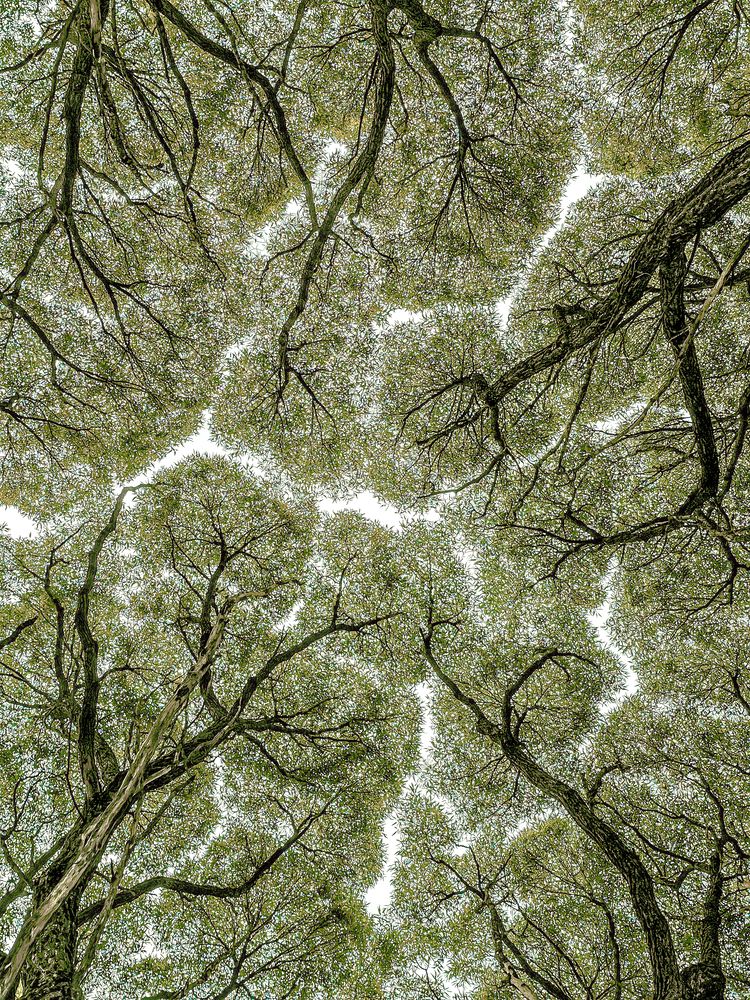 Photograph by Сергей Кесаев