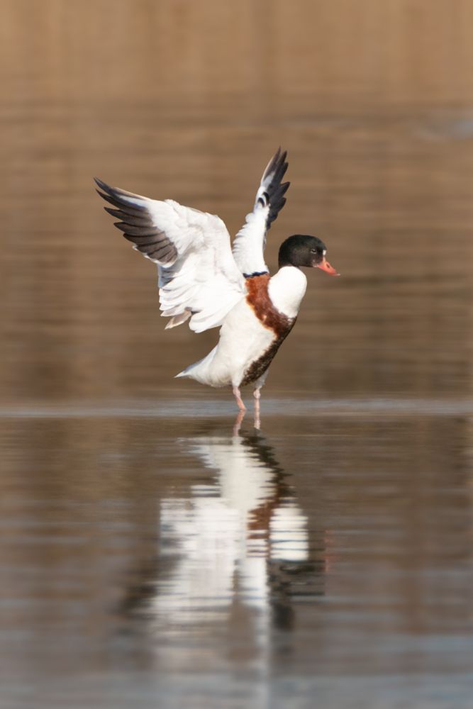 Photograph by Юлия Григоренко