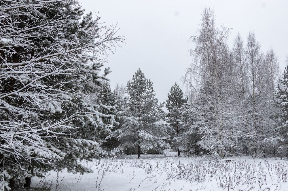 Photograph by Татьяна Новикова