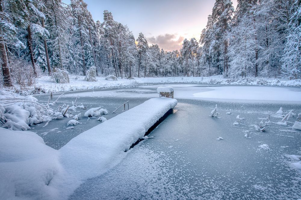Photograph by Kulikova Albina