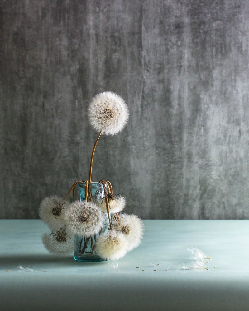 Photograph by Людмила Прибылова