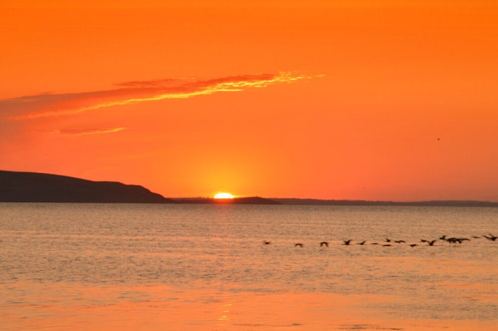 Photograph by Ольга Шевцова