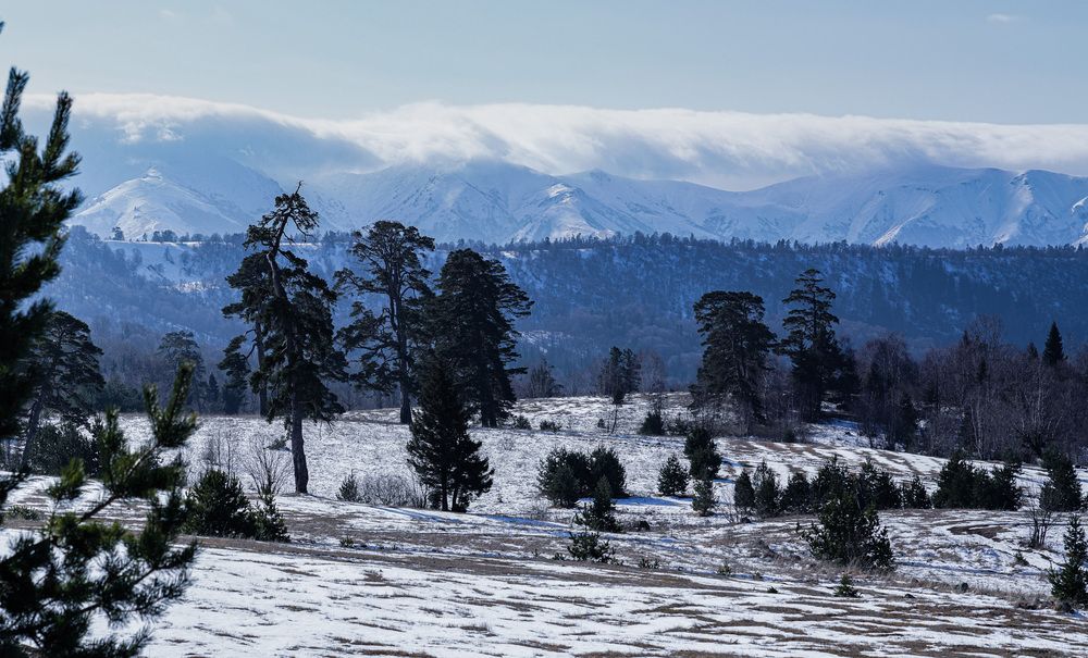Photograph by Дмитрий Куркулин