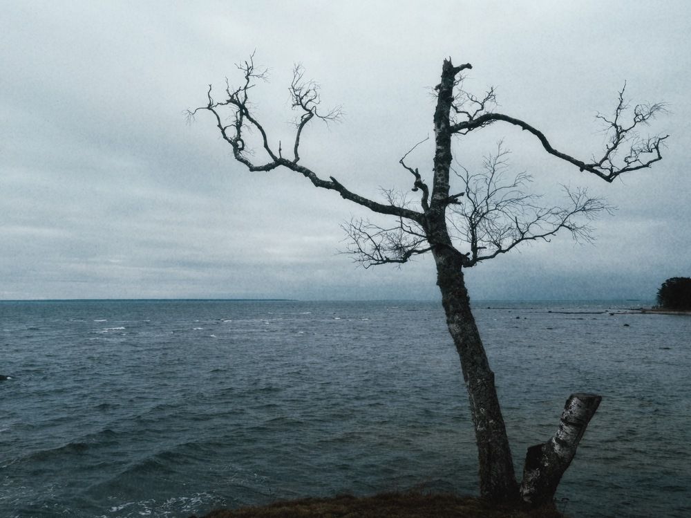 Photograph by Sergei Novikov