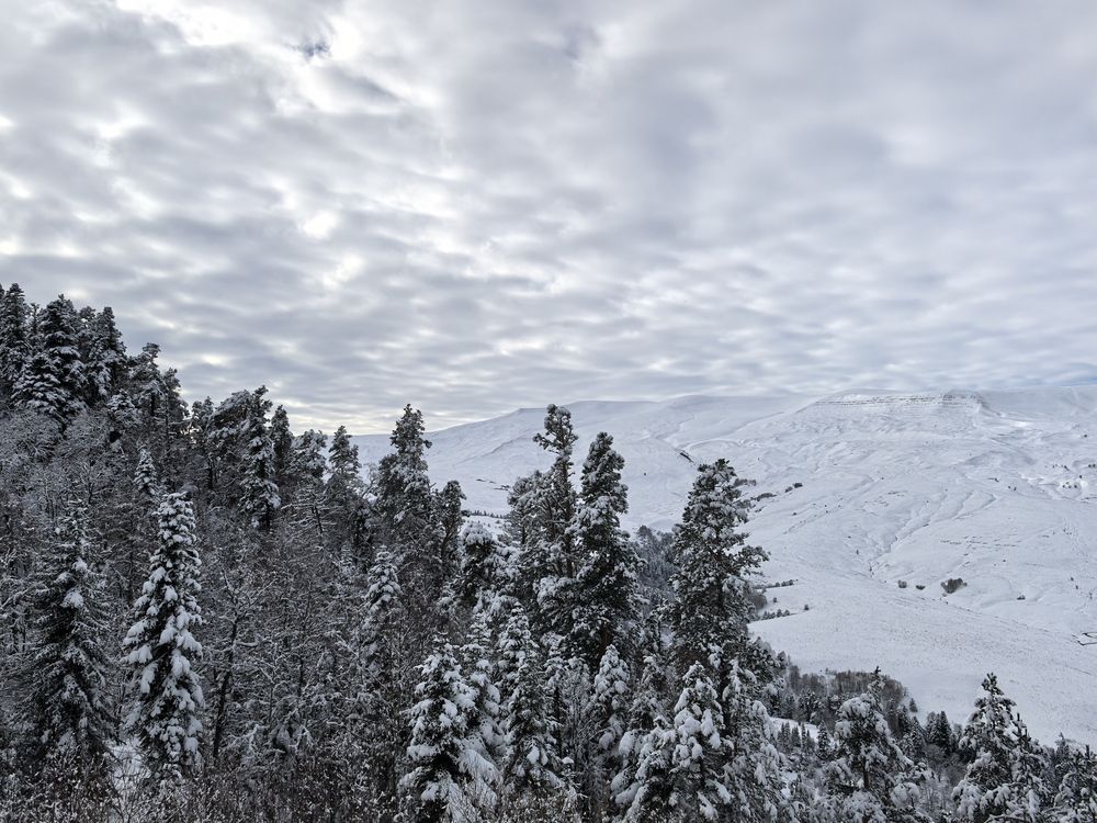 Photograph by Елизавета Зыкова