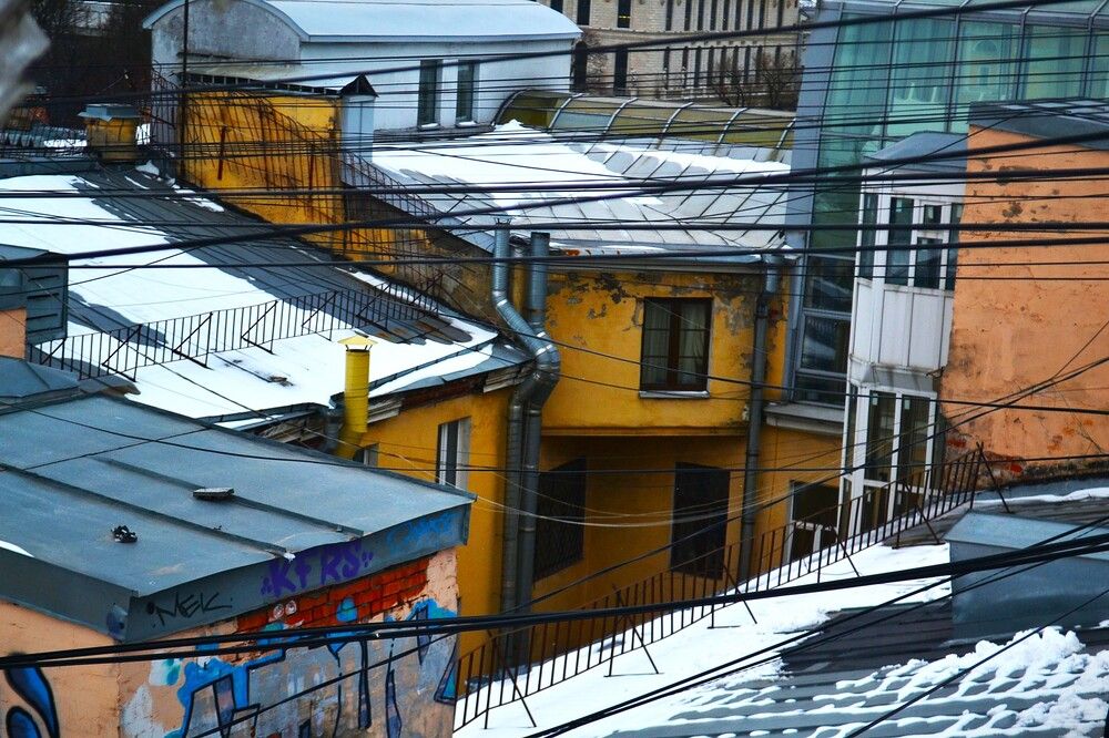 Мои джунгли