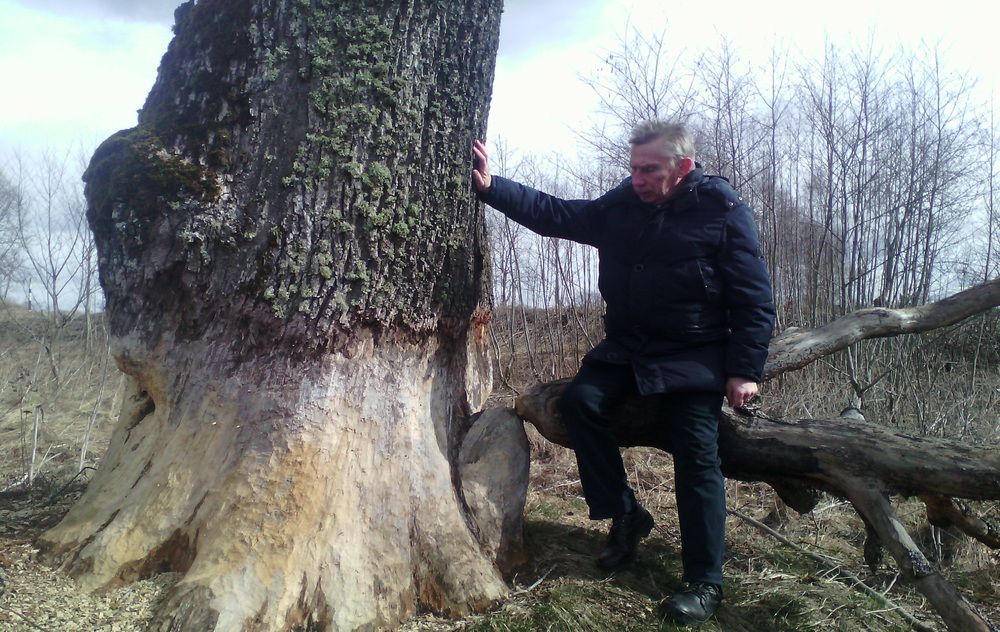 Фотография автора Виталий Петухов