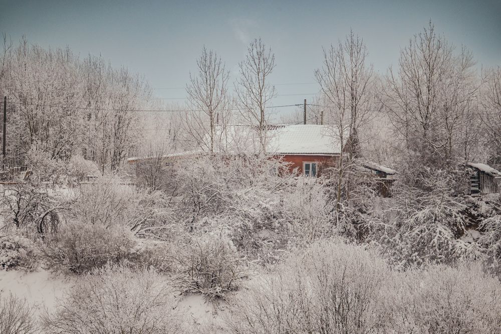 Photograph by Сергей Зимин