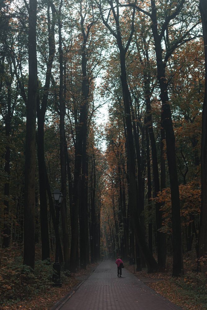 Photograph by Лина Лазарева