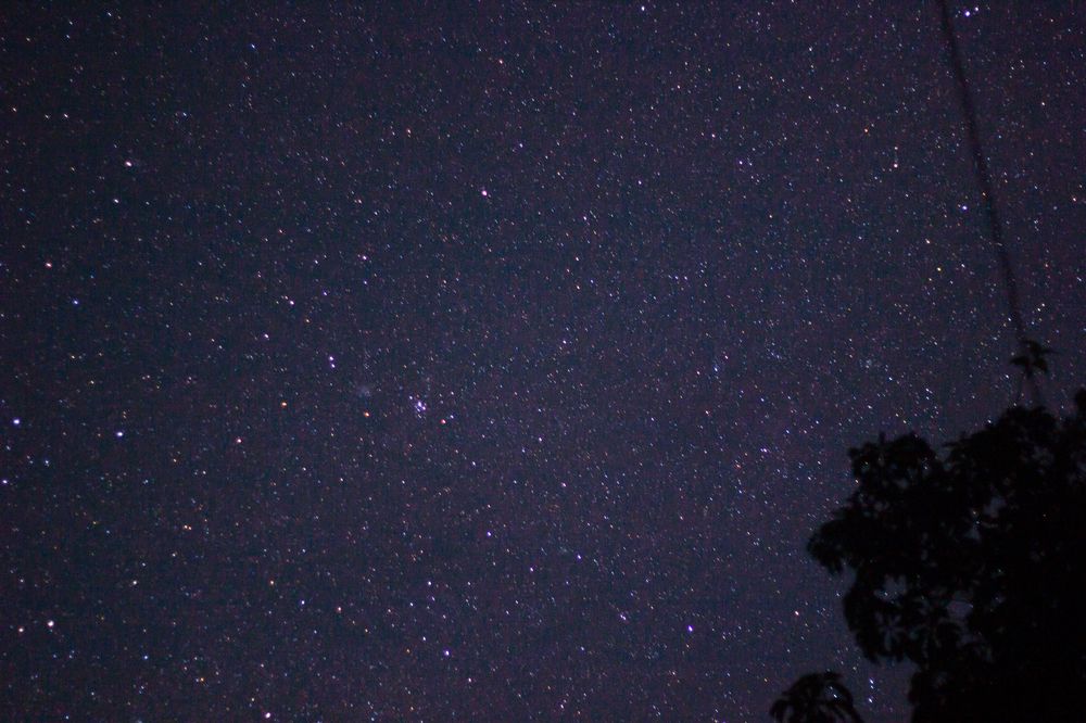 Photograph by Dewindu H. Fernando