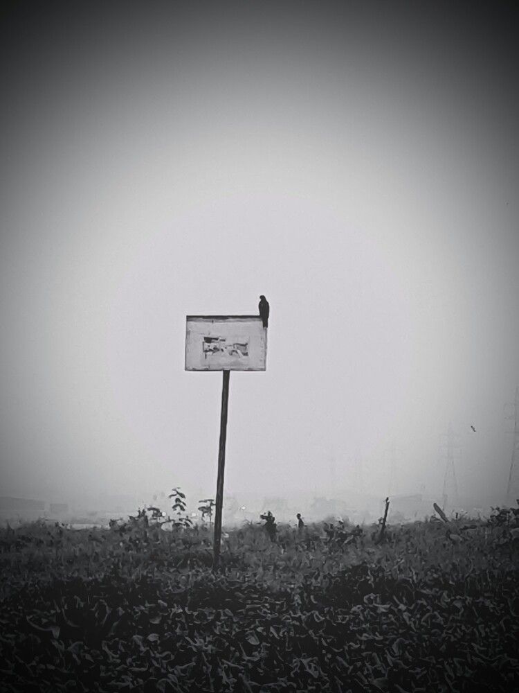 Photograph by Robiozzama Fahid