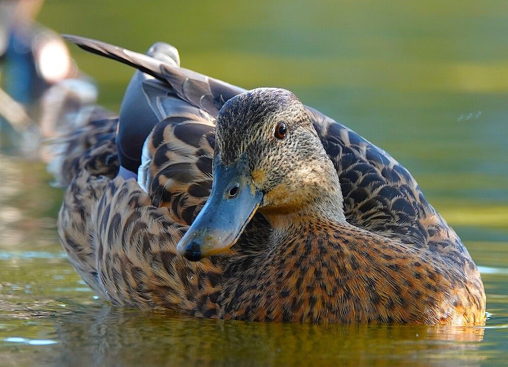 Photograph by Zakharov Matvey