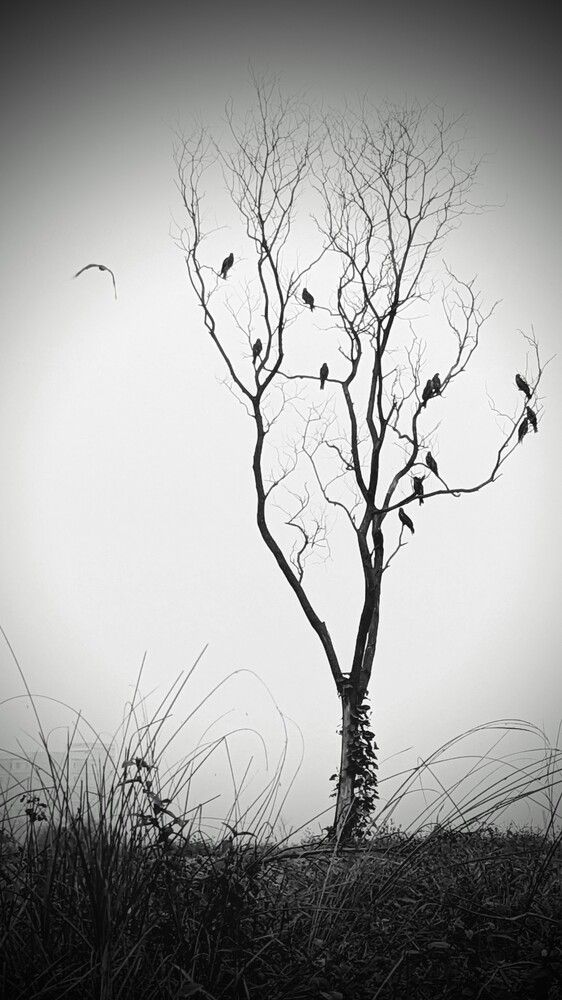 Photograph by Robiozzama Fahid